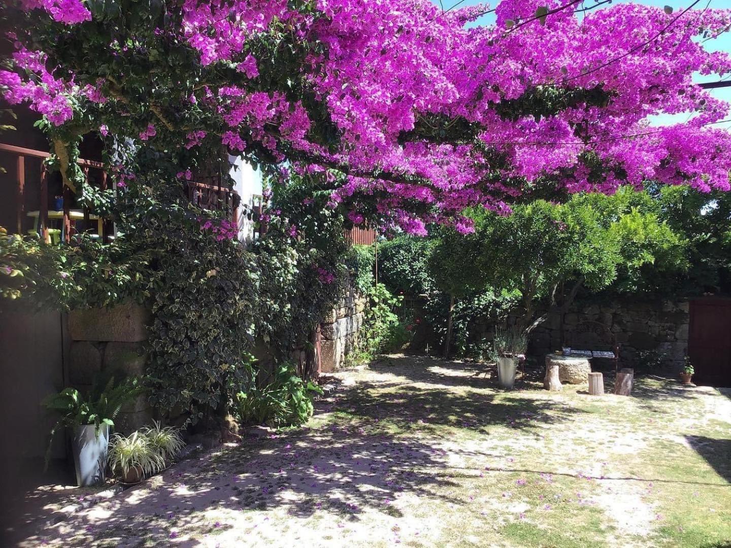 Casa De Cerqueda Apartment Celorico De Basto Bagian luar foto