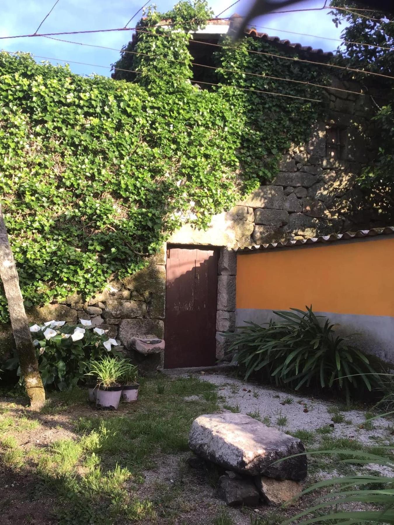 Casa De Cerqueda Apartment Celorico De Basto Bagian luar foto